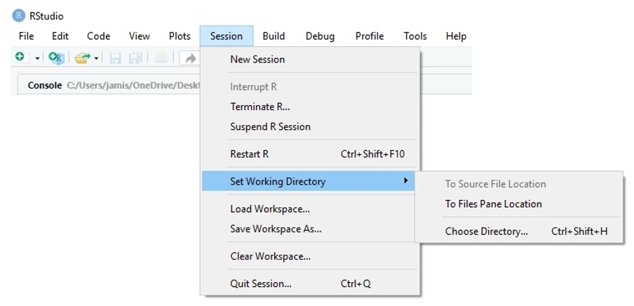 *Save and load sessions, restart R, or handle directories in the session submenu.*